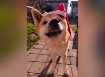 Oldie Don wartet auf seine Familie ❤️