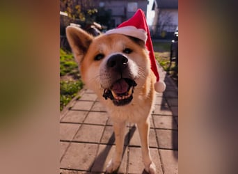 Oldie Don wartet auf seine Familie ❤️