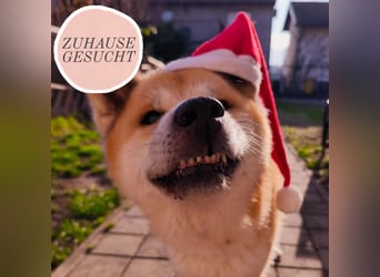 Oldie Don wartet auf seine Familie ❤️