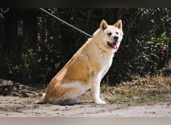 SENIORIN ❤️ MAGALI - will dir ihr ❤️ schenken !