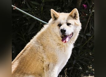 SENIORIN ❤️ MAGALI - will dir ihr ❤️ schenken !