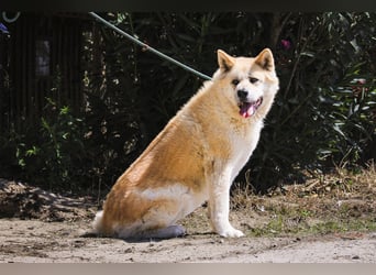 SENIORIN ❤️ MAGALI - will dir ihr ❤️ schenken !