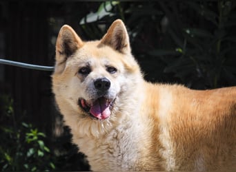 SENIORIN ❤️ MAGALI - will dir ihr ❤️ schenken !