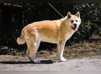 SENIORIN ❤️ MAGALI - will dir ihr ❤️ schenken !