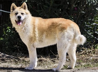 SENIORIN ❤️ MAGALI - will dir ihr ❤️ schenken !