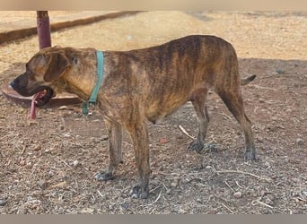Julieta (Spanien) – die liebevolle Kämpferin mit dem großen Herzen