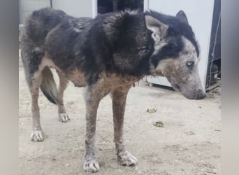 Angela, unser Notfall braucht dringend Unterstützung