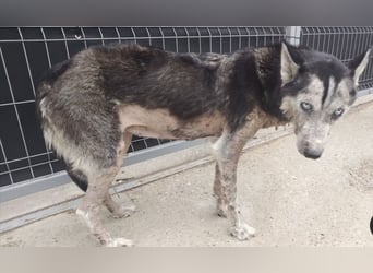 Angela, unser Notfall braucht dringend Unterstützung