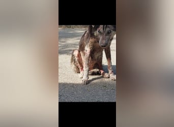 Angela, unser Notfall braucht dringend Unterstützung
