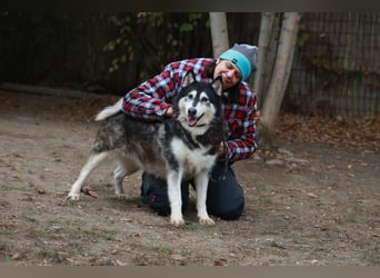 Kati, auf PS in 22043 Hamburg,  möchte ihr Herz verschenken