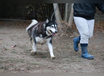 Kati, auf PS in 22043 Hamburg,  möchte ihr Herz verschenken