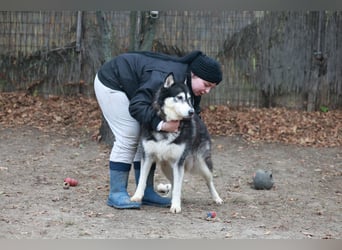 Kati, auf PS in 22043 Hamburg,  möchte ihr Herz verschenken