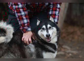 Kati, auf PS in 22043 Hamburg,  möchte ihr Herz verschenken