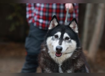 Kati, auf PS in 22043 Hamburg,  möchte ihr Herz verschenken