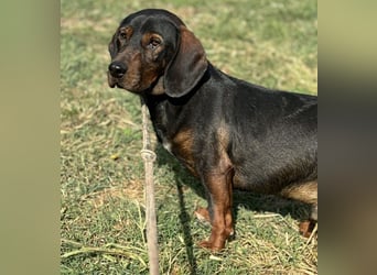 Andrija ein gebrochener Engel