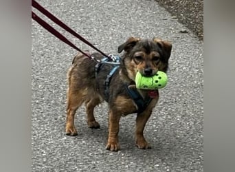 Sky ein schüchternes kleines Mädchen