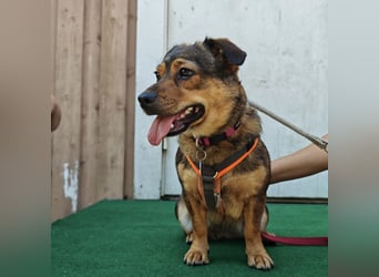 Sky ein schüchternes kleines Mädchen