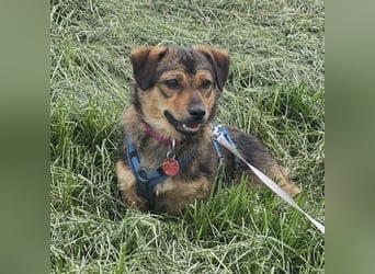 Sky ein schüchternes kleines Mädchen