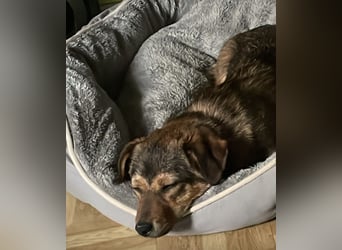 Sky ein schüchternes kleines Mädchen