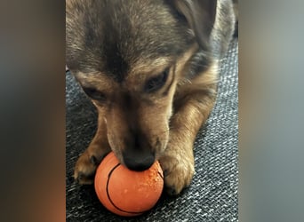 Sky ein schüchternes kleines Mädchen