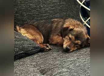 Sky ein schüchternes kleines Mädchen