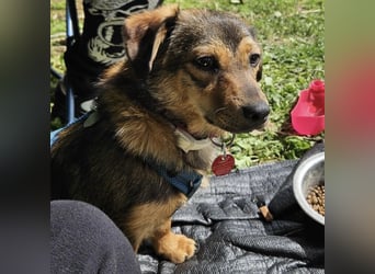 Sky ein schüchternes kleines Mädchen