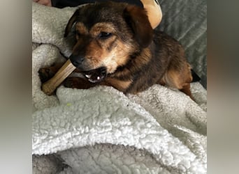 Sky ein schüchternes kleines Mädchen