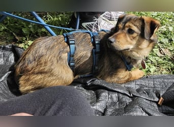 Sky ein schüchternes kleines Mädchen