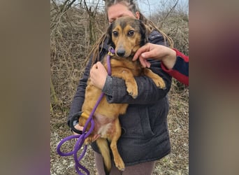 Manda eine wundervolle Seele