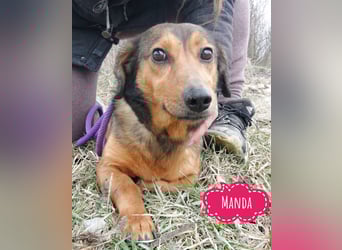 Manda eine wundervolle Seele