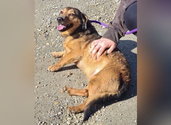 Manda eine wundervolle Seele