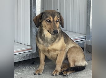 Manda eine wundervolle Seele