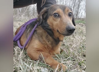 Manda eine wundervolle Seele