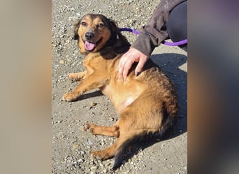 Manda eine wundervolle Seele