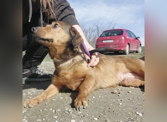 Manda eine wundervolle Seele