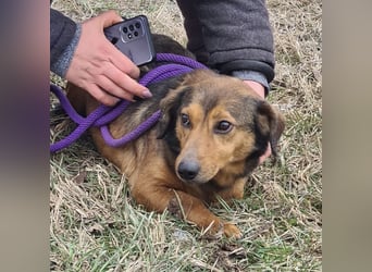 Manda eine wundervolle Seele