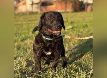 Cody der Allerliebste