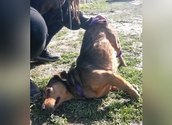 Manda eine wundervolle Seele