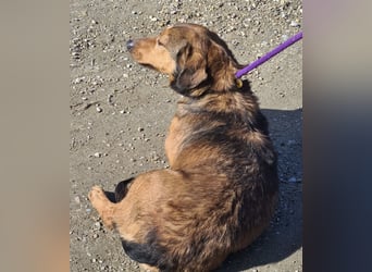 Manda eine wundervolle Seele