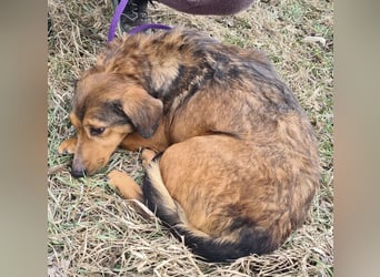 Manda eine wundervolle Seele