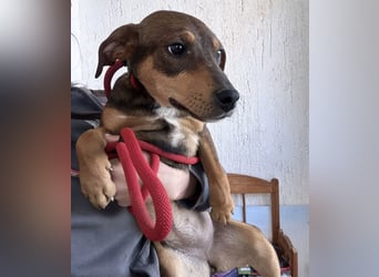 Aika ein Engel auf Erden