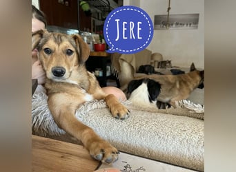 Jere - Liebe pur