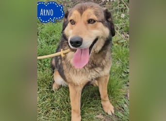 Arno ein ganz lieber Schatz
