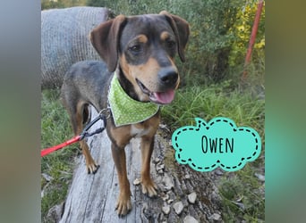 Owen ein Freund fürs Leben