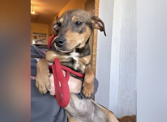 Aika ein Engel auf Erden