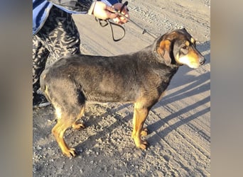 Zaira eine sanfte Seele