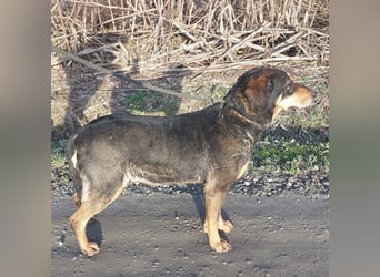 Zaira eine sanfte Seele