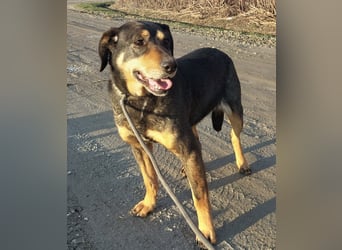 Zaira eine sanfte Seele