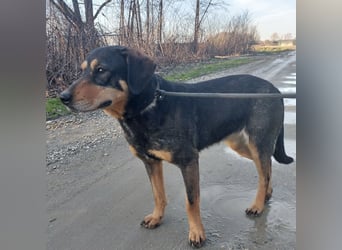 Zaira eine sanfte Seele