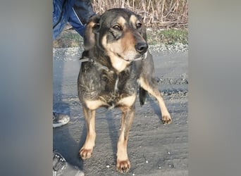 Zaira eine sanfte Seele